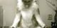 yoga-dog
